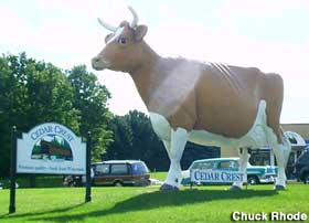 Oh and we can't forget Cedar Crest Ice Cream's Bernice the Cow!
