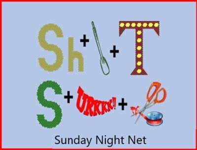 Sunday Night Net - SSTV image from 2023-12-03 - Answer is: Short Circuit (10 correct, 0 incorrect)
