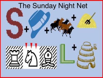 Sunday Night Net - SSTV image from 2024-06-02 - Answer is: Saturday Night Live (7 correct, 0 incorrect)
