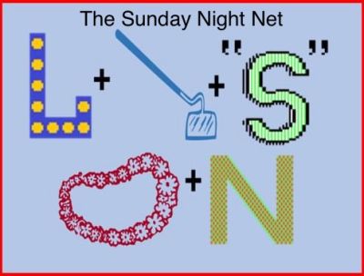 Sunday Night Net - SSTV image from 2024-06-09 - Answer is: Lois Lane (8 correct, 0 incorrect)
