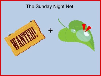 Sunday Night Net - SSTV Image from 2025-11-23
