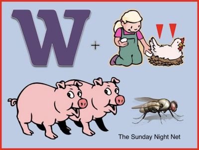 Sunday Night Net - SSTV Image from 2026-05-31 - Answer is: When pigs fly (7 correct, 0 incorrect, 0 No Call Sign included)
