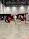 IMG_2221.jpeg